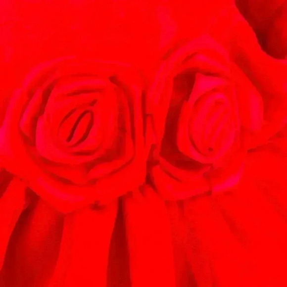 Carter’s special occasions Christmas dress - Picture 3 of 5